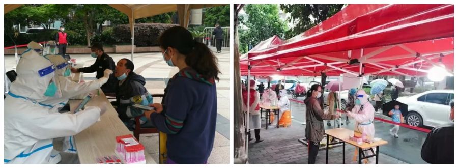 1650593237240733pUfc.jpg 11.jpg